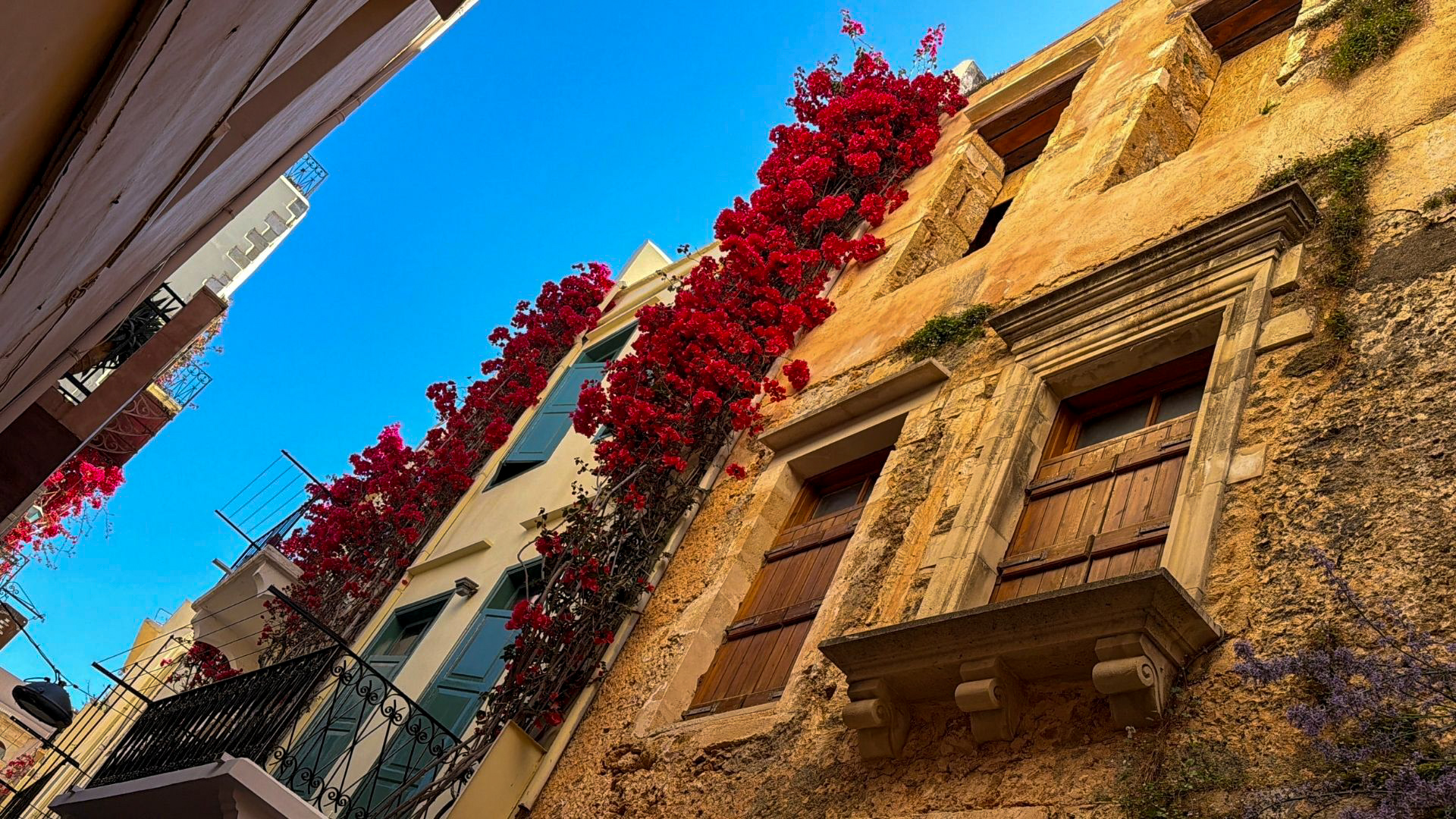 Red bougainvillea climbing a Venetian stone building in Chania old town, Crete
