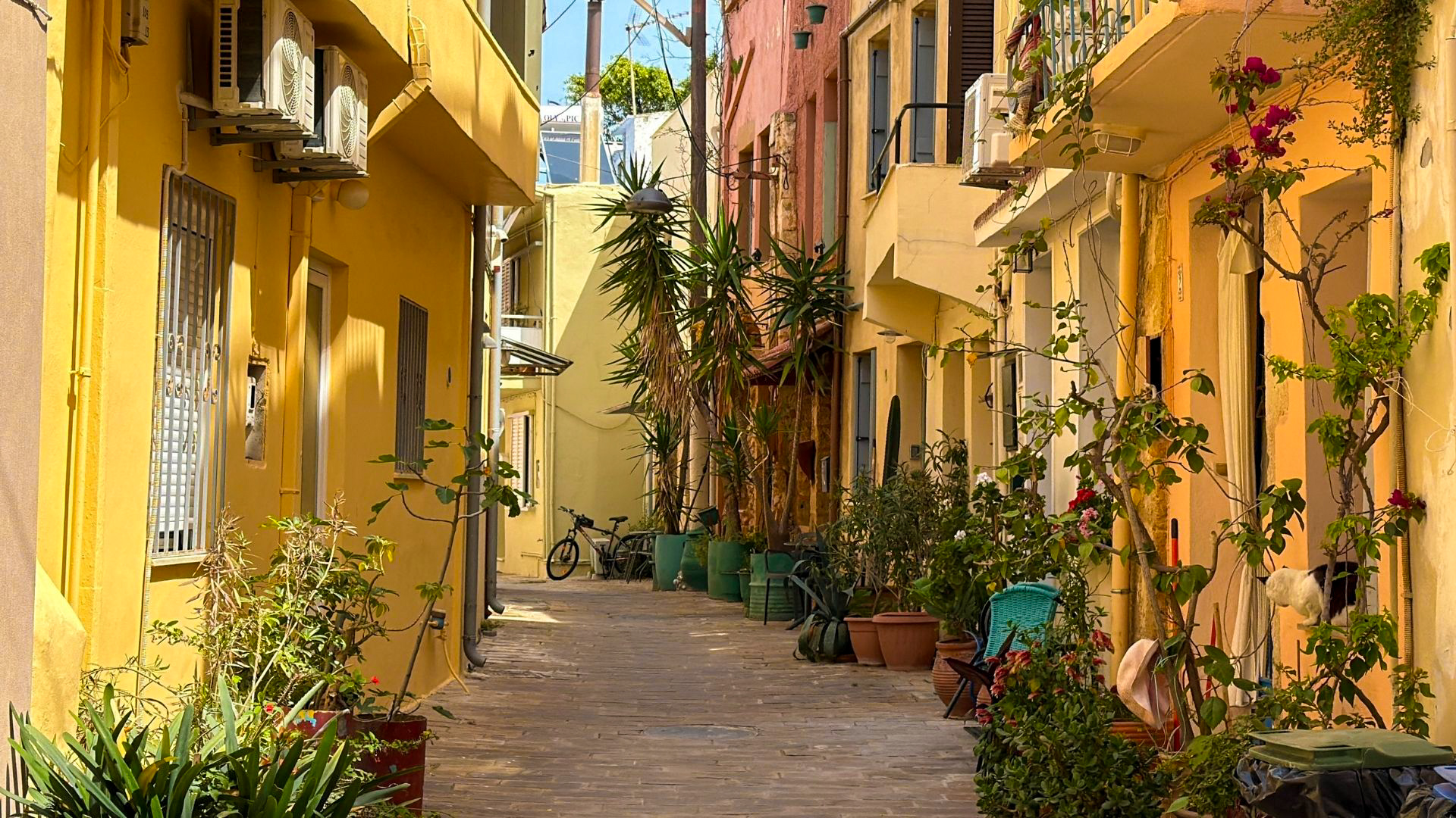 Colorful yellow alley with potted plants in Chania old town, Crete